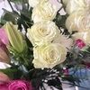 doris275074